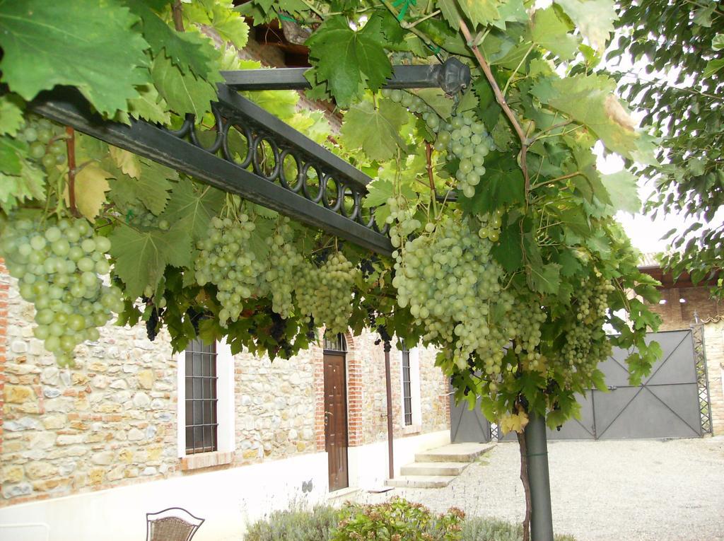 Agriturismo Casa Garello Salice Terme Exteriér fotografie